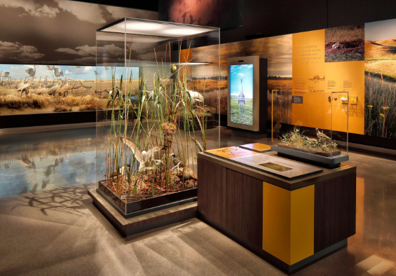 展厅 展厅